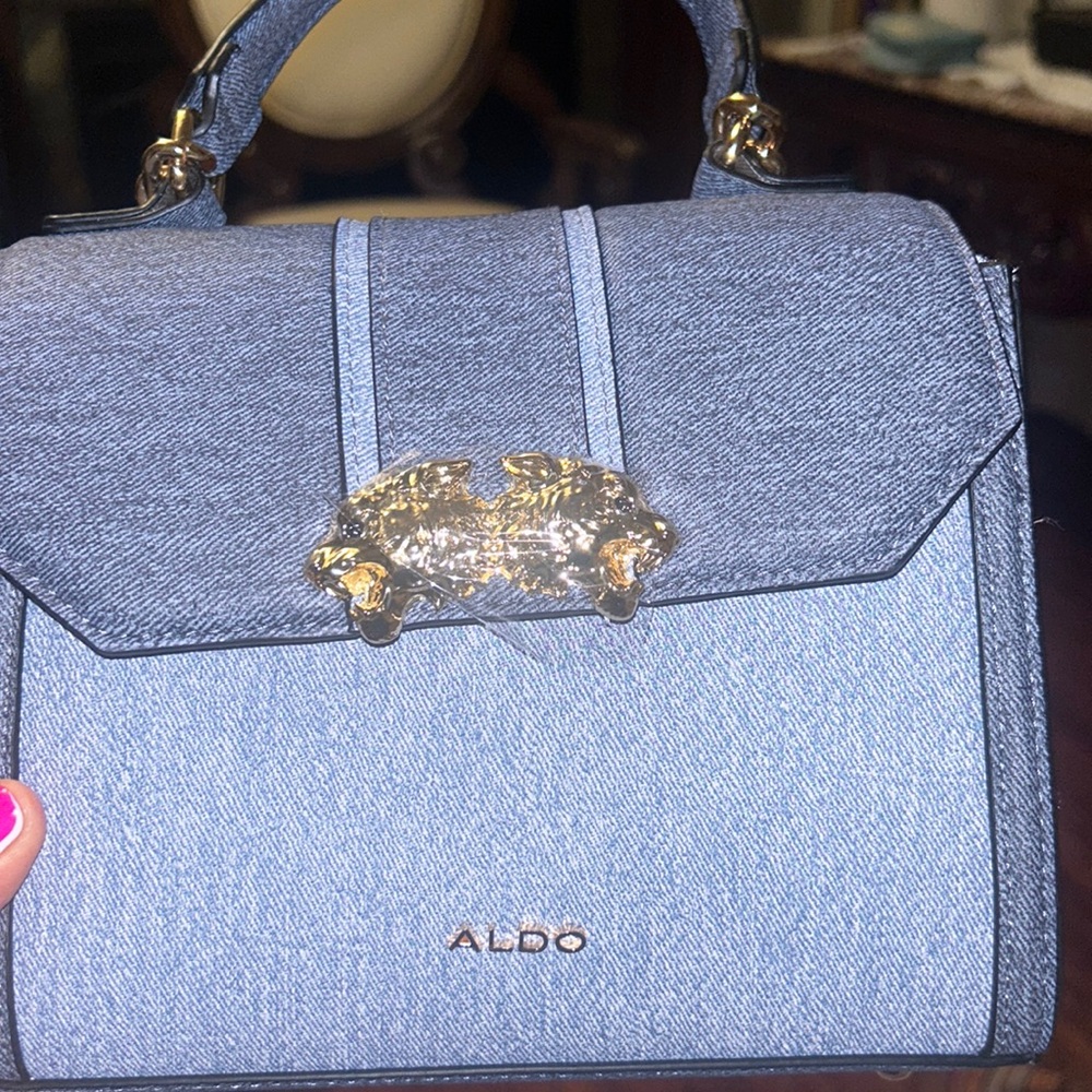 Aldo purse